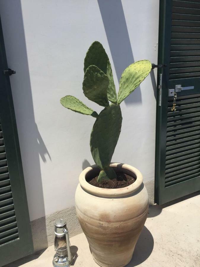 Casa Bianca Amore Amalfi Eksteriør billede